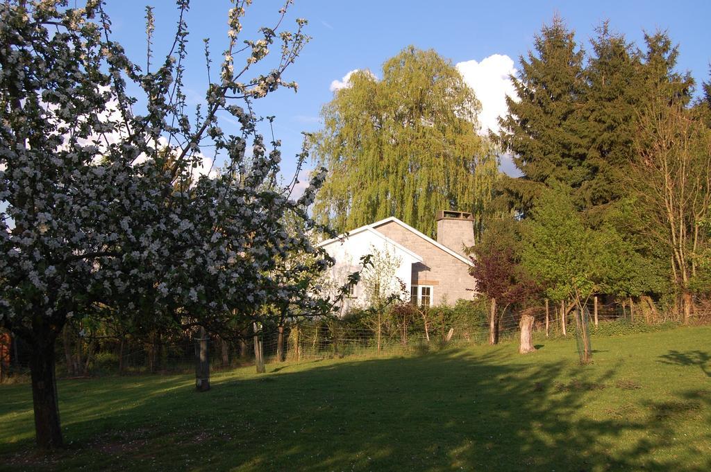 Sous Le Saule Holiday Home Heyd Pokoj fotografie